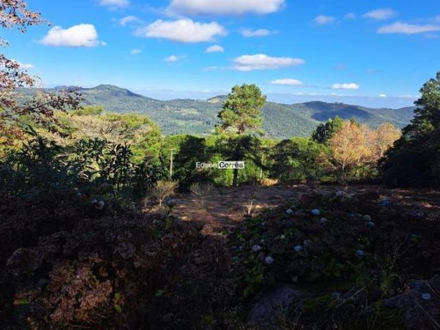 Sítio e chácara venda em Região Geográfica Imediata de Caxias do Sul, São Francisco de Paula