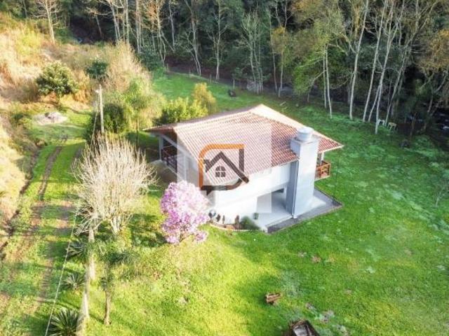 Sítio e chácara venda em Região Geográfica Imediata de Novo Hamburgo - São Leopoldo, São Vendelino