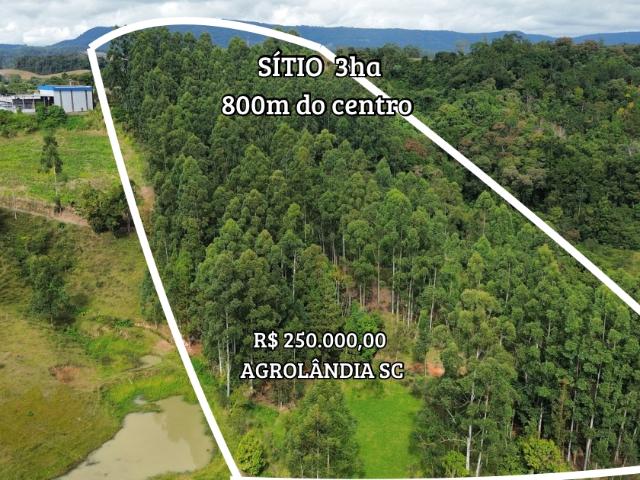 Sítio e chácara venda em Região Geográfica Imediata de Rio do Sul, Agrolândia