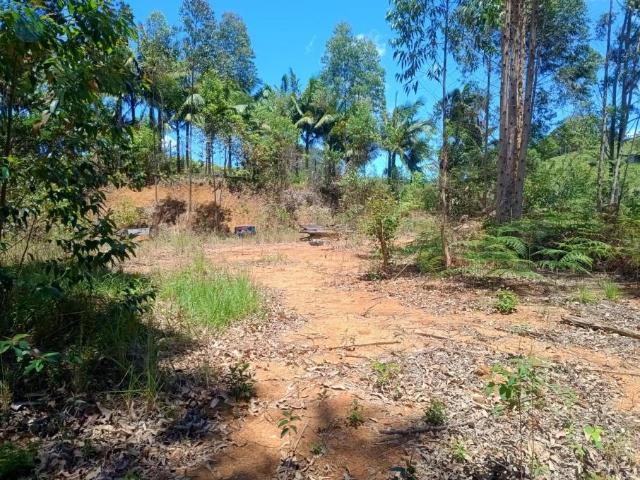 Sítio e chácara venda em Região Geográfica Imediata de Florianópolis, Águas Mornas