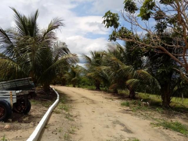 Sítio e chácara venda em Araruama