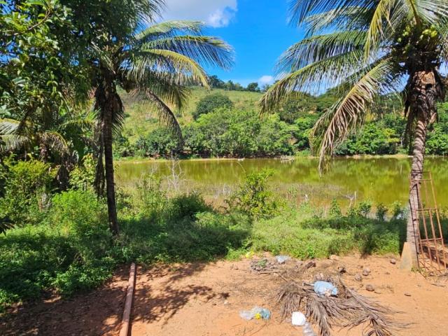 Sítio e chácara venda em Região Geográfica Imediata de Ipatinga, Belo Oriente