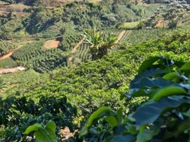 Sítio e chácara venda em Região Geográfica Imediata de Manhuaçu, Caparaó