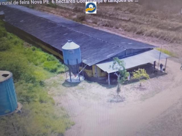 Sítio e chácara venda em Região Geográfica Imediata de Carpina, Carpina