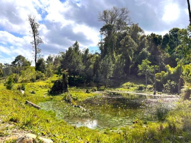 Sítio e chácara venda em Região Geográfica Imediata de Blumenau, Doutor Pedrinho