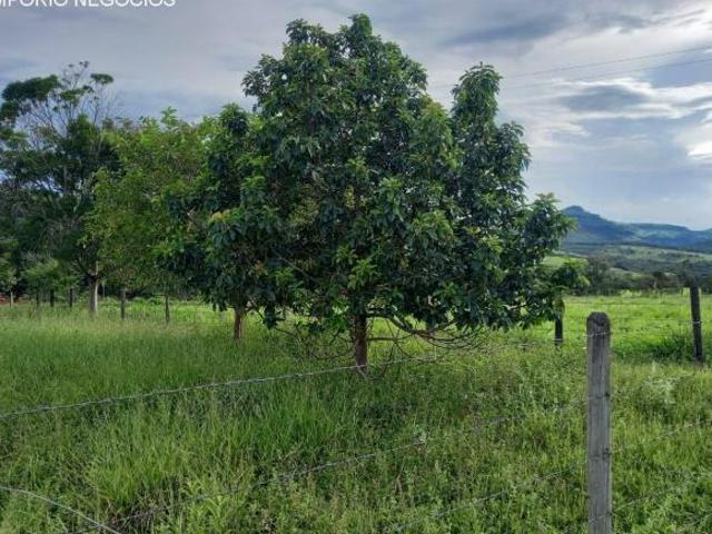 Sítio e chácara venda em Região Imediata de Ribeirão Preto, Região Metropolitana de Ribeirão Preto