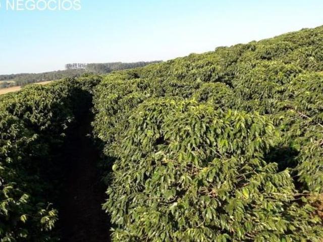 Sítio e chácara venda em São Tomás de Aquino, Região Geográfica Intermediária de Varginha