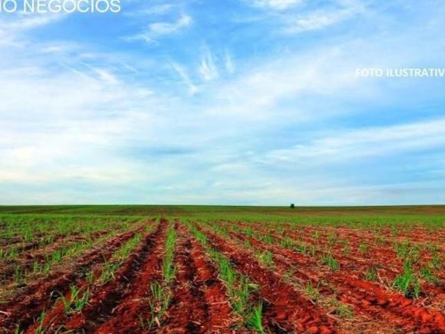 Sítio e chácara venda em Casa Branca, Região Geográfica Intermediária de Campinas