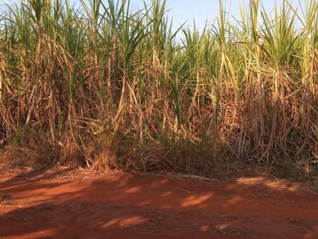 Sítio e chácara venda em Casa Branca, Região Geográfica Intermediária de Campinas