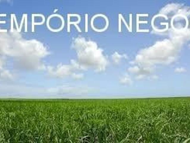 Sítio e chácara venda em Santo Antônio da Alegria, Região Geográfica Intermediária de Ribeirão Preto