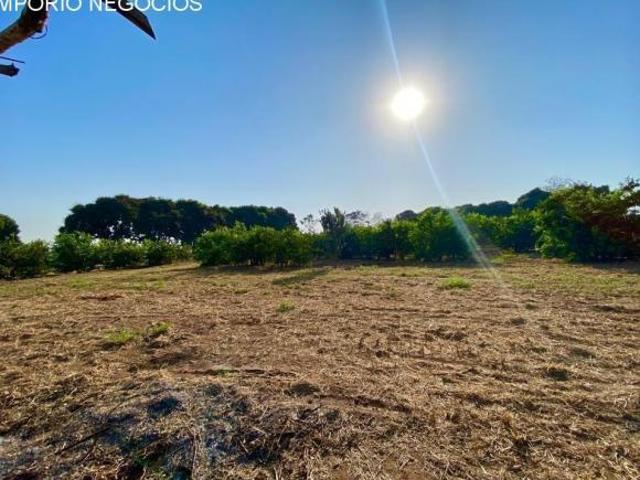 Sítio e chácara venda em Região Imediata de Barretos, Região Metropolitana de Ribeirão Preto