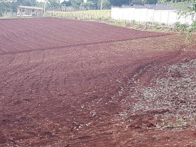Sítio e chácara venda em Cravinhos