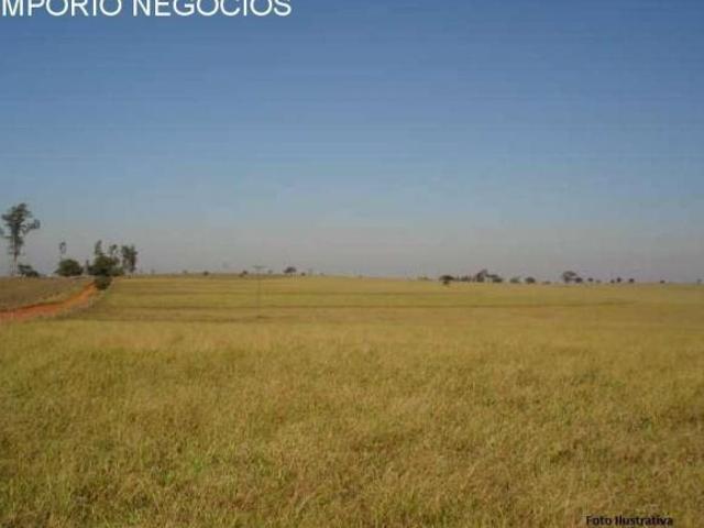 Sítio e chácara venda em Região Imediata de São José do Rio Pardo-Mococa, Região Metropolitana de Ribeirão Preto