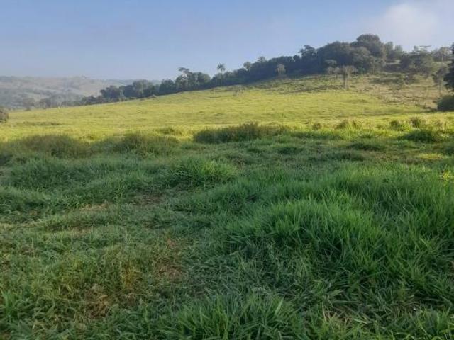 Sítio e chácara venda em Região Geográfica Imediata de Guaxupé, Arceburgo