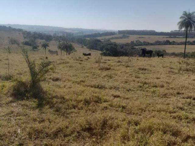 Sítio e chácara venda em Região Imediata de São José do Rio Pardo-Mococa, Região Metropolitana de Ribeirão Preto