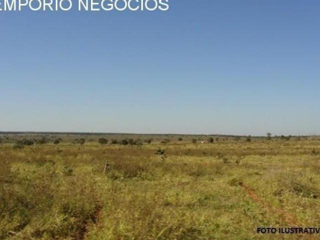 Sítio e chácara venda em Região Imediata de São José do Rio Pardo-Mococa, Região Metropolitana de Ribeirão Preto
