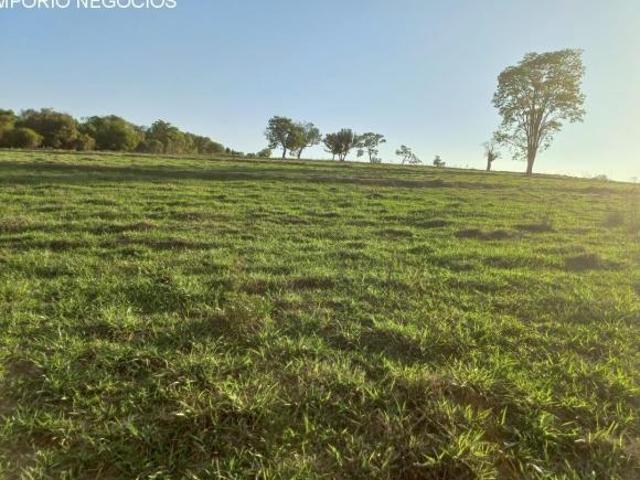 Sítio e chácara venda em Santo Antônio da Alegria