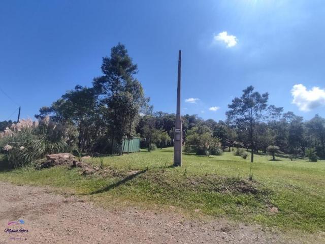 Sítio e chácara venda em Região Geográfica Imediata de Taquara - Parobé - Igrejinha, Região Metropolitana de Porto Alegre