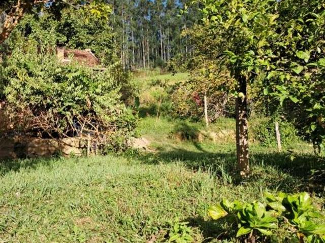 Sítio e chácara venda em Região Geográfica Imediata de Rio do Sul, Lontras