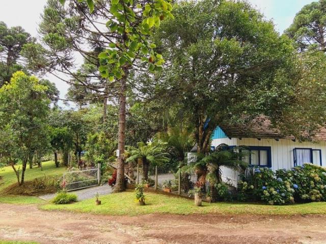 Sítio e chácara venda em Região Geográfica Imediata de Blumenau, Rio dos Cedros
