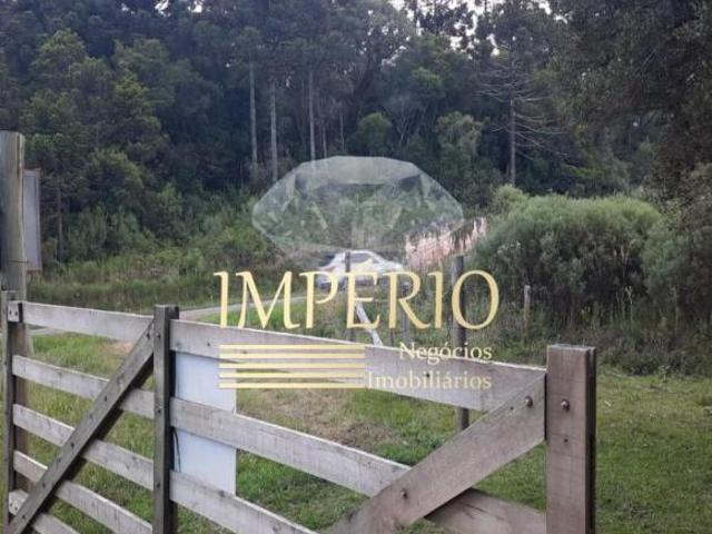 Sítio e chácara venda em Região Geográfica Imediata de Caxias do Sul, São Francisco de Paula