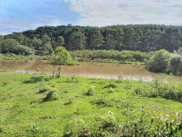 Sítio e chácara venda em Região Geográfica Imediata de Lages, São José do Cerrito