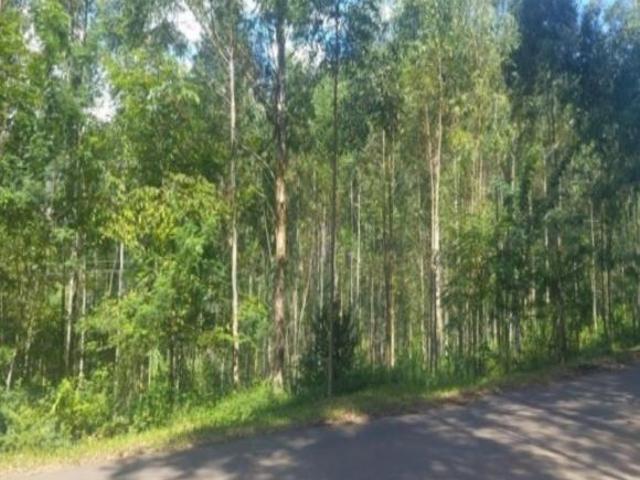 Sítio e chácara venda em Região Geográfica Imediata de Caxias do Sul, Caxias do Sul