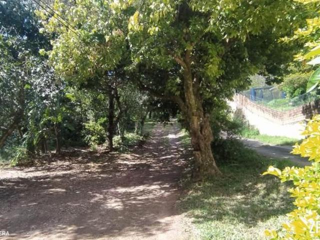 Sítio e chácara venda em Região Geográfica Imediata de Porto Alegre, Região Metropolitana de Porto Alegre