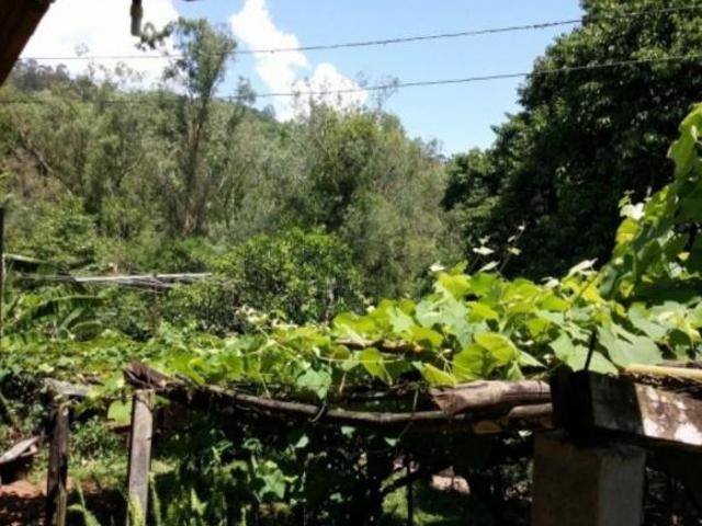 Sítio e chácara venda em Região Geográfica Imediata de Novo Hamburgo - São Leopoldo, Santa Maria do Herval
