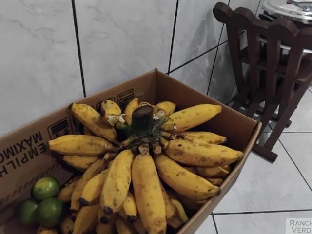 Sítio e chácara venda em Região Imediata de São Paulo, Região Metropolitana de São Paulo