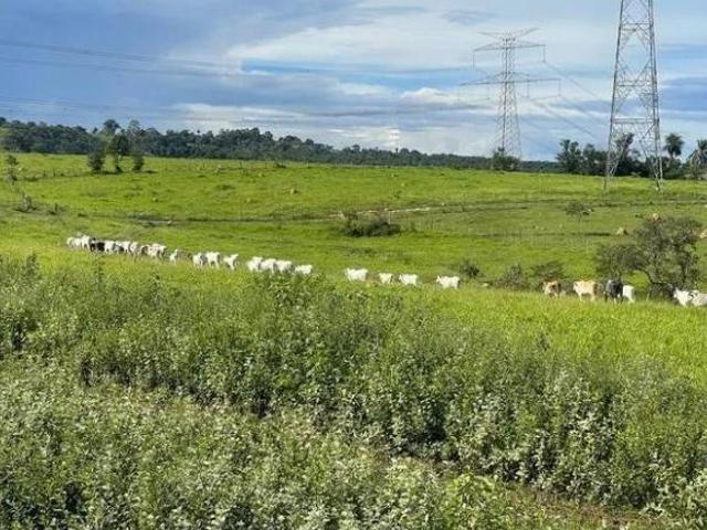 Sítio e chácara venda em Região Imediata de Campinas, Região Metropolitana de Campinas