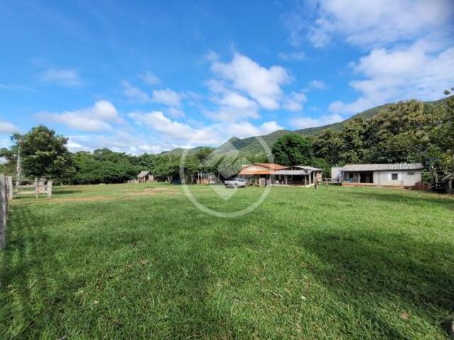 Sítio e chácara venda em Região Geográfica Imediata de Cáceres, Antônio João