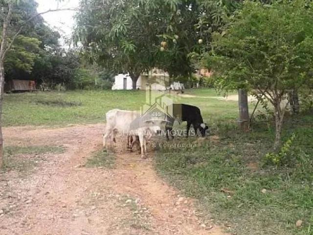 Sítio e chácara venda em Região Geográfica Imediata de Curvelo, Inimutaba