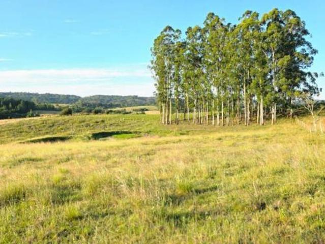Sítio e chácara venda em Região Geográfica Imediata de Porto Alegre, Região Metropolitana de Porto Alegre