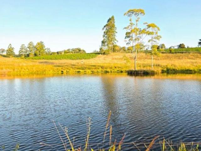 Sítio e chácara venda em Região Geográfica Imediata de Porto Alegre, Região Metropolitana de Porto Alegre