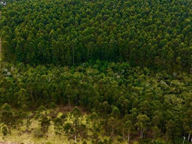 Sítio e chácara venda em Região Geográfica Imediata de Taquara - Parobé - Igrejinha, Região Metropolitana de Porto Alegre
