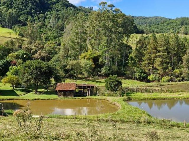 Sítio e chácara venda em Região Geográfica Imediata de Taquara - Parobé - Igrejinha, Região Metropolitana de Porto Alegre