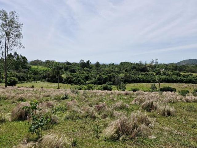Sítio e chácara venda em Região Geográfica Imediata de Novo Hamburgo - São Leopoldo, Região Metropolitana de Porto Alegre