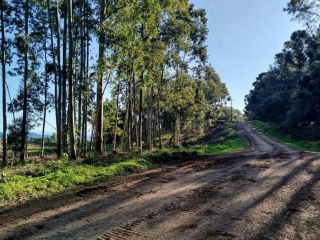 Terreno venda em Região Geográfica Imediata de Caxias do Sul, Nova Petrópolis
