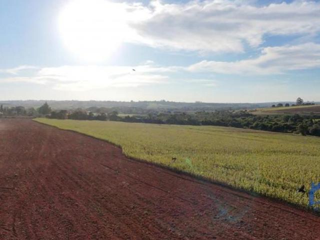 Sítio e chácara venda em Sorocaba