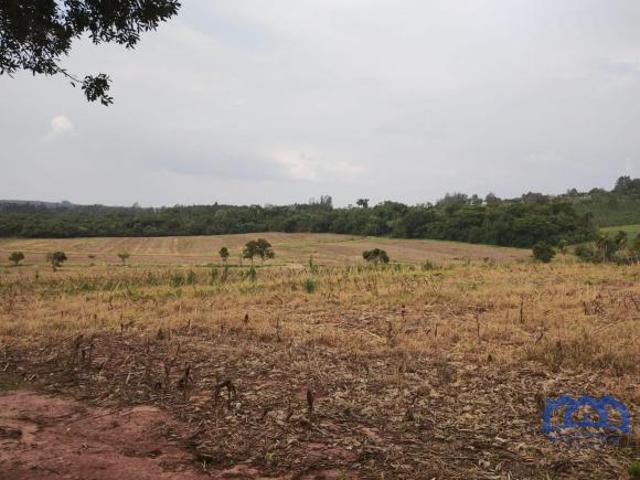 Sítio e chácara venda em Região Imediata de Itapetininga, Região Metropolitana de Sorocaba