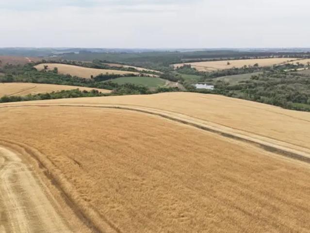Fazenda venda em Região Imediata de Itapetininga, Região Metropolitana de Sorocaba