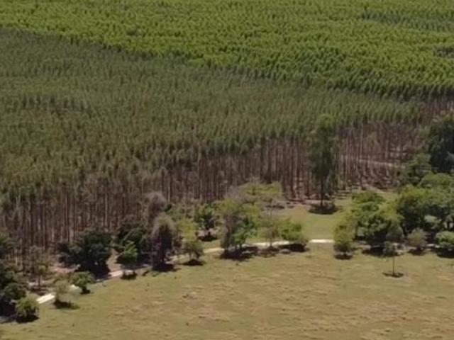 Sítio e chácara venda em Região Imediata de Avaré, Paranapanema