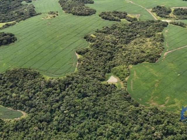 Sítio e chácara venda em Região Imediata de Avaré, Paranapanema