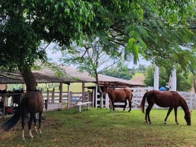 Sítio e chácara venda em Região Imediata de Itapetininga, Região Metropolitana de Sorocaba