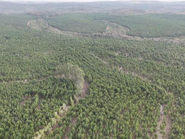 Sítio e chácara venda em Tatuí