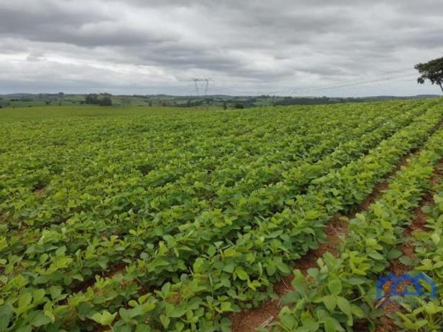 Sítio e chácara venda em Região Imediata de Sorocaba, Região Metropolitana de Sorocaba