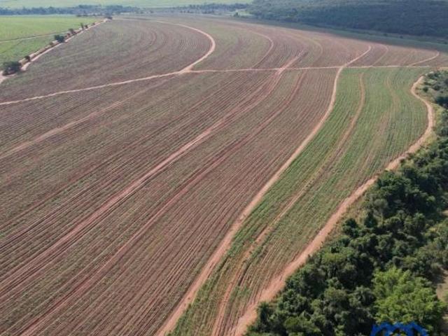Sítio e chácara venda em Região Imediata de Araraquara, Araraquara