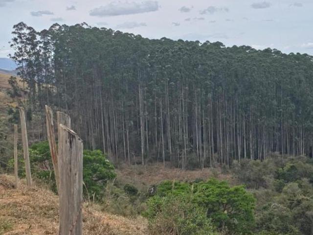 Sítio e chácara venda em Região Imediata de Cruzeiro, Região Metropolitana do Vale do Paraíba e Litoral Norte
