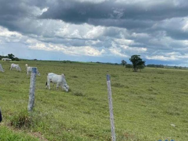 Sítio e chácara venda em Região Imediata de Avaré, Avaré